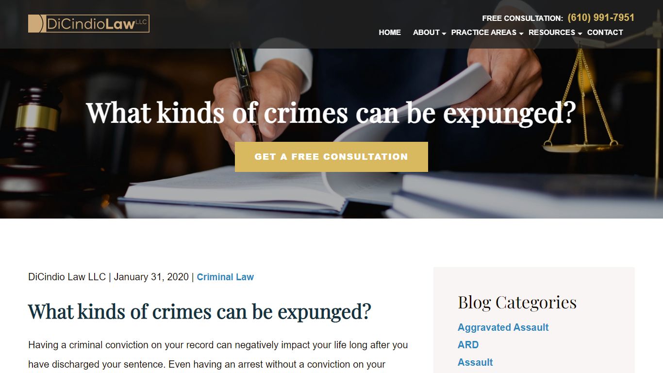 What kinds of crimes can be expunged? | DiCindio Law